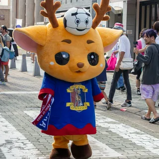 Source photo for Mascot